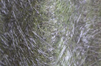 Addington fibreglass roof work